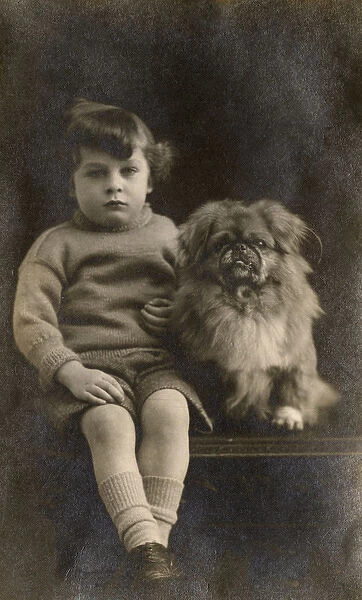 Studio portrait, boy with Pekingese dog