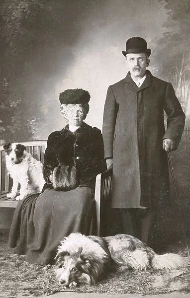 Studio portrait, couple with two dogs