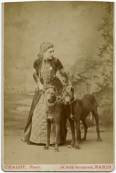 Studio portrait, young woman with two dogs