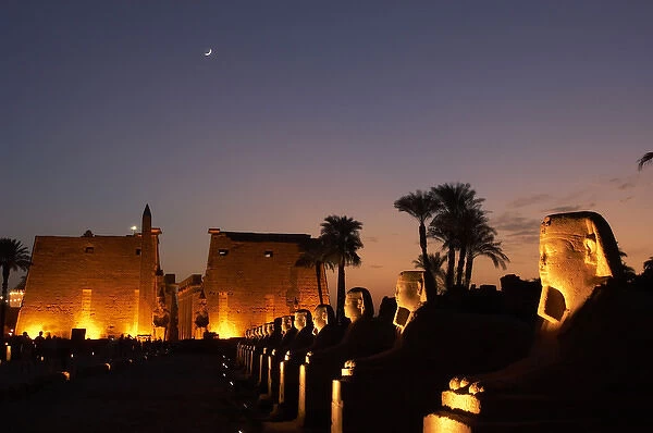 Temple of Luxor. Night view of the monumental entrance