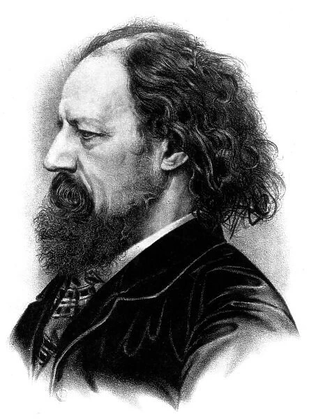 Tennyson profile