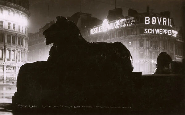 Trafalgar Square Lion at Night - The Night Watch