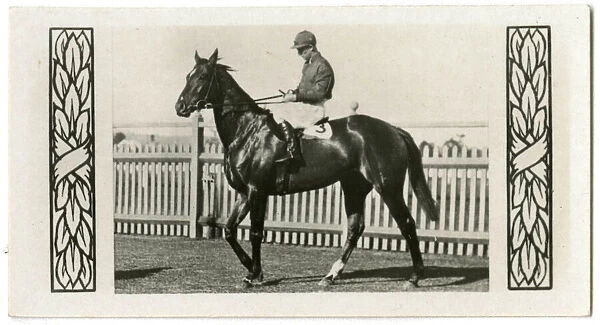 Valcaire, Australian race horse