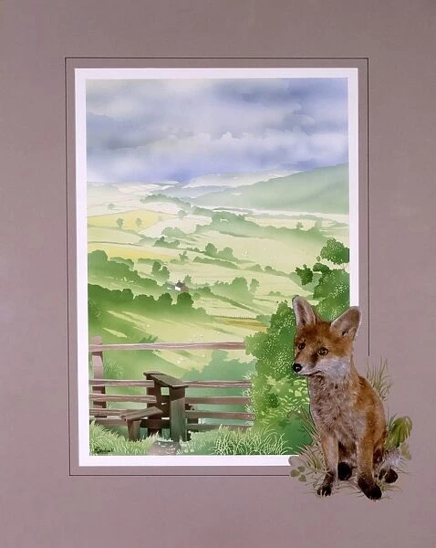 View down an English valley with a young Fox