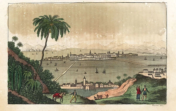 View of Mexico City, circa 1820
