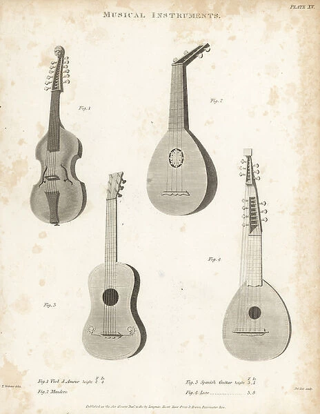 Viol d amour, mandore, Spanish guitar and lute
