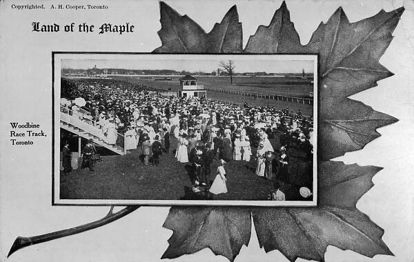 Woodbine race track, Toronto, Canada, with large crowd
