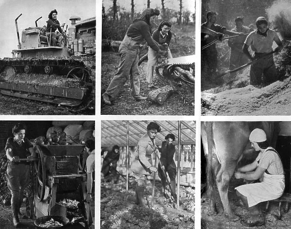 WW2 - Land Girls working the land