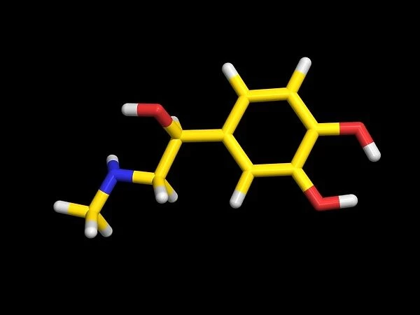 Adrenaline molecule