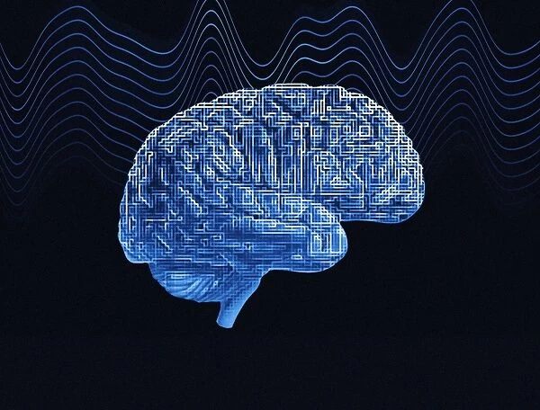 Brain, conceptual computer artwork
