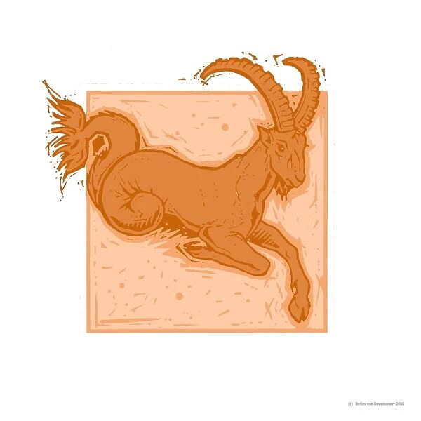 Capricorn. Artwork representing Capricorn the Sea Goat 