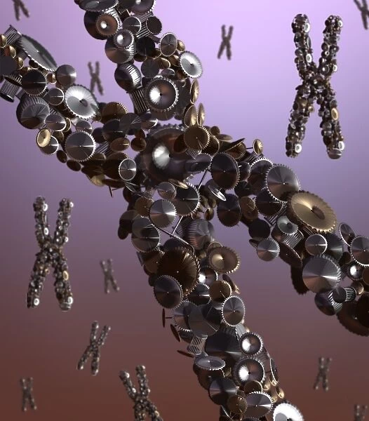 Chromosome as a machine, conceptual image C016  /  8432