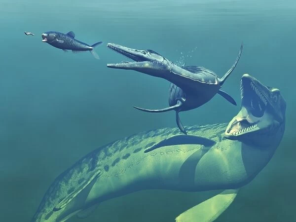 Cretaceous marine predators, artwork