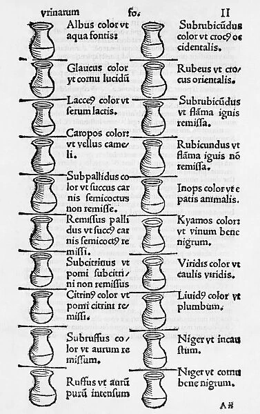 Diagnosis from urine, 16th century
