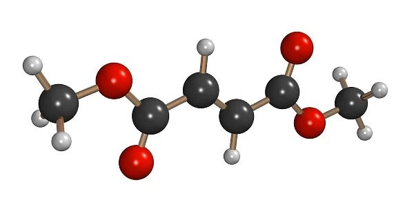 Dimethyl fumarate allergen molecule