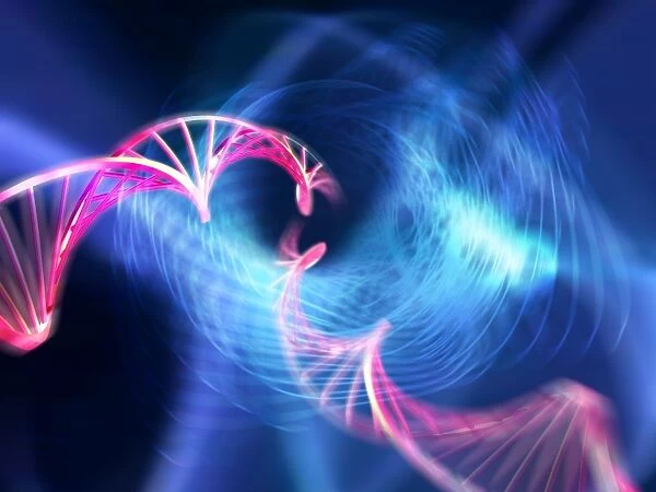 DNA molecules, computer artwork