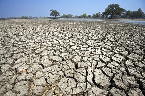 Dry earth, Zimbabwe