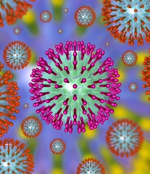 Herpes virus particles, artwork