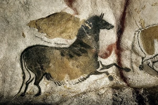 Lascaux II cave painting replica C013  /  7384