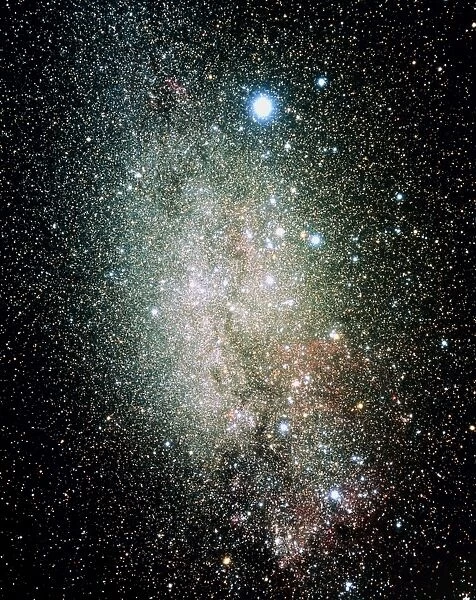 The Milky Way from Canis Major to Vela