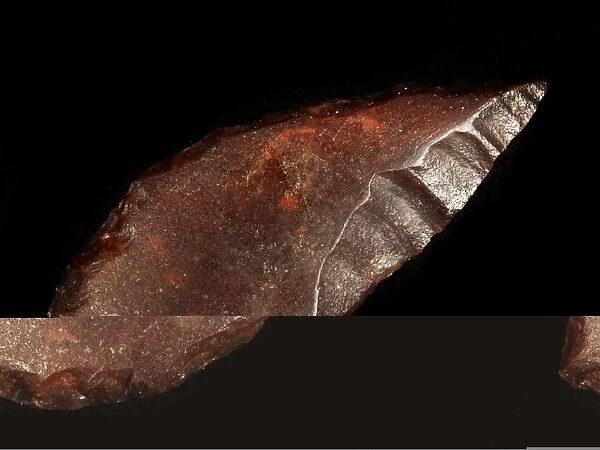 Neolithic flint arrowhead C014  /  1024