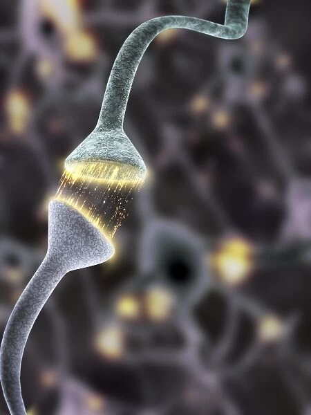 Nerve synapse, artwork