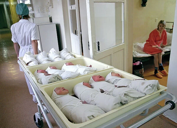 Newborn babies at a maternity hospital