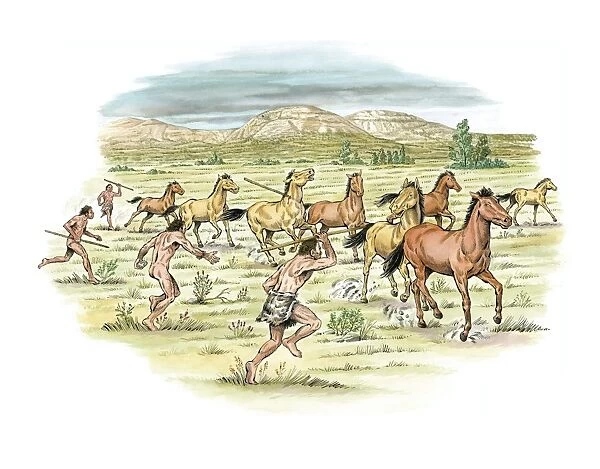 Palaeolithic horse hunting, artwork C016  /  8281