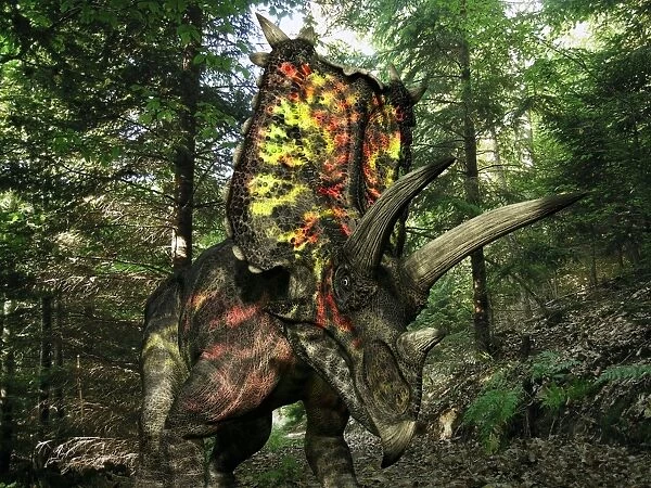 Pentaceratops dinosaur, artwork