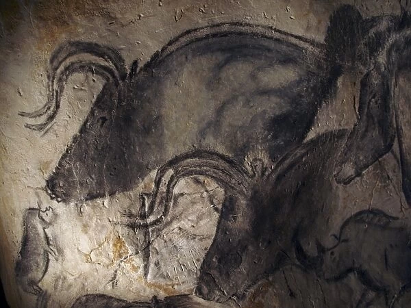 Prehistoric cave paintings, Chauvet C016  /  0576