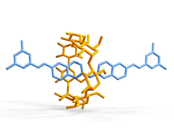 Rotaxane, molecular crystal structure C017  /  7016
