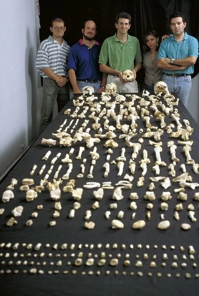 Sima de los Huesos fossils C015  /  6587