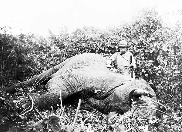 Theodore Roosevelt on safari, 1909