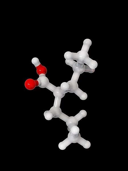 Valproic acid anticonvulsant molecule C014  /  2296