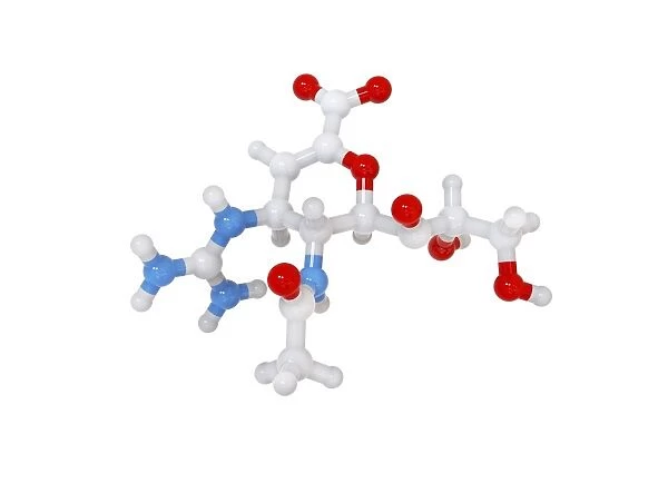 Zanamivir flu drug, molecular model C016  /  5799