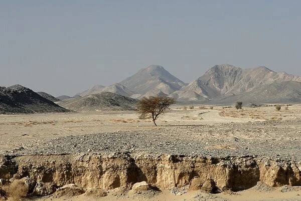 Erosion, Nubian Desert