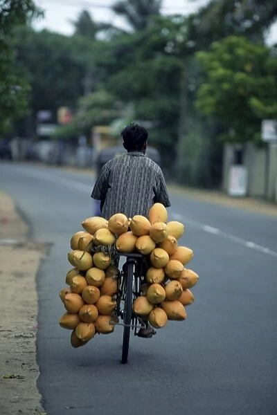 Man carrying coconuts on the back of his bicycle