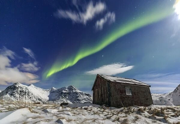 Northern Lights (aurora borealis) over a small wooden house. Flakstad, Lofoten Islands