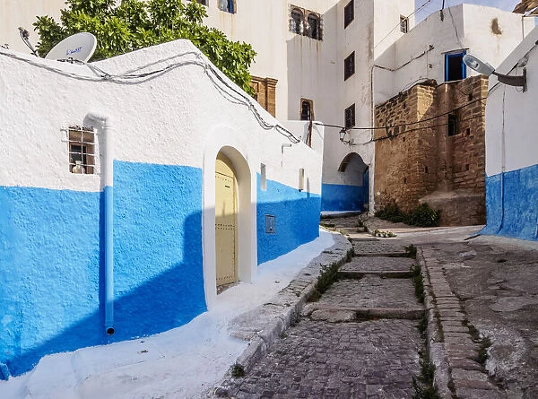 Rue Bazou, blue street in Kasbah of the Udayas, Rabat, Rabat-Sale-Kenitra Region, Morocco