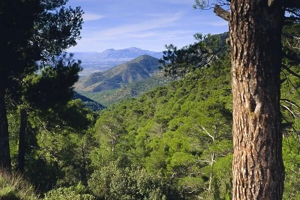 Sierra de Espuna