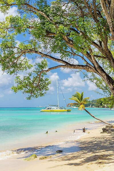 A boat at Alleynes Bay, Barbados, Caribbean