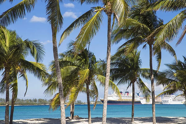Caribbean, Bahamas, Providence Island, Nassau, Palm trees on white sand beach, with