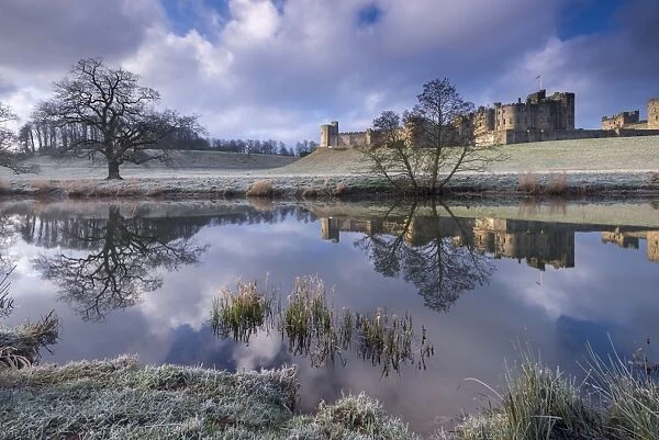 Cold and frosty conditions at Alnwick Castle in Northumberland, England. Winter
