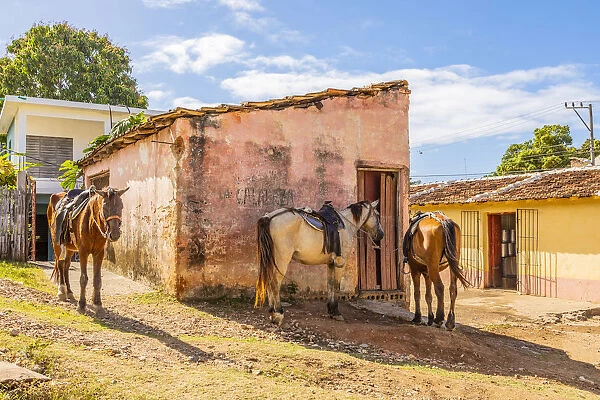 Horses in a street in Trinidad, Sancti Spiritus, Cuba