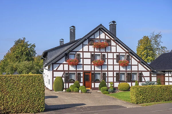 House with typical Venn hedge at Hofen, Monschau, Eifel, North Rhine Westphalia, Germany