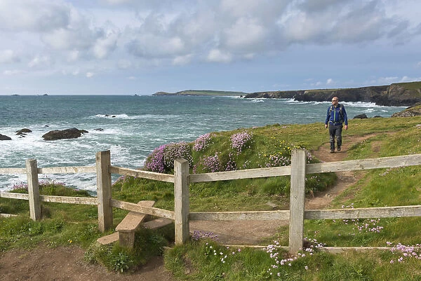 Man walking the South West Coast Path near Trevose Head, Cornwall, England. Spring