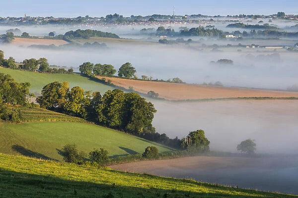 Mist lying over the Cranborne Chase with Shaftesbury in the distance, Wiltshire, England