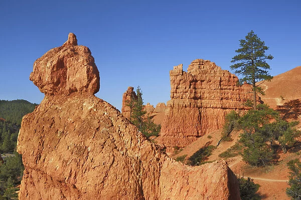 Sandstone erosion landscape in Red Canyon - USA, Utah, Garfield