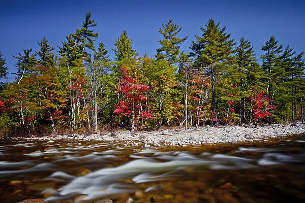 Swift River in Autumn, New Hampshire, USA