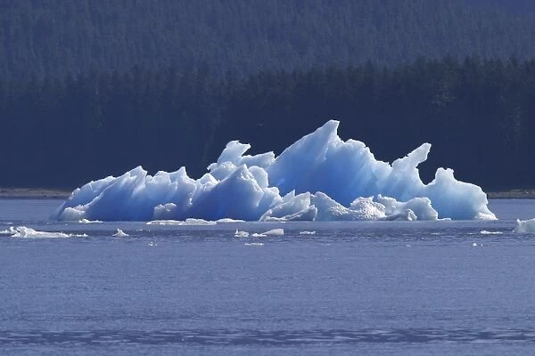 Iceberg  /  bergy bits calved off Sawyer Glacier in Tracy Arm, Southeasat Alaska, USA. Pacific Ocean